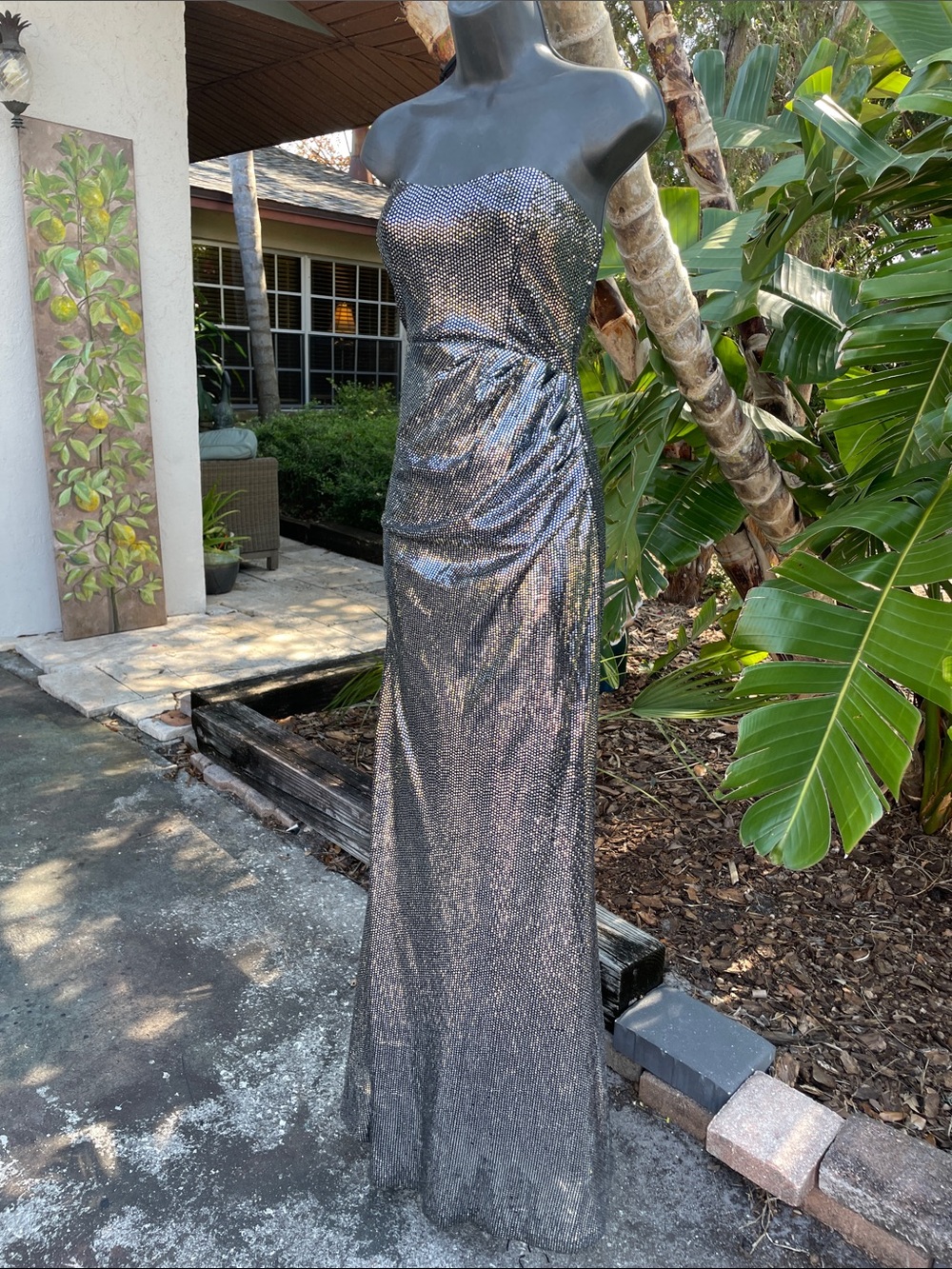 Lulu strapless, silver maxi dress